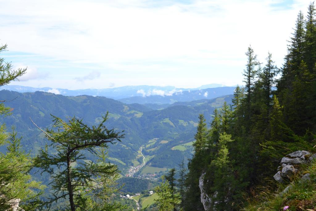 Pension Schweiger Gasen エクステリア 写真